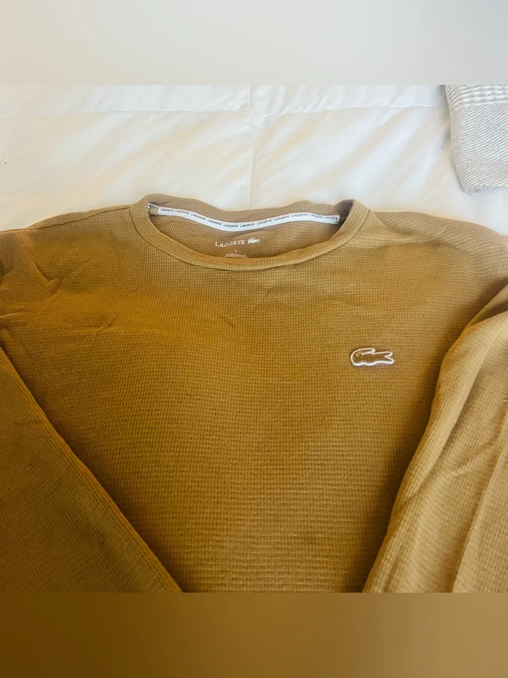 Lacoste Boy’s Crewneck Sweater in Mustard Brown